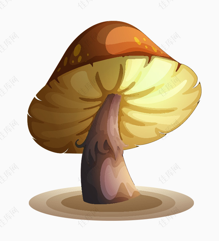 漂亮的蘑菇
