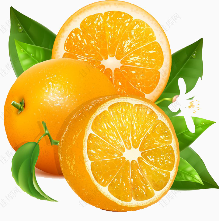 橙子元素果肉新鲜水果