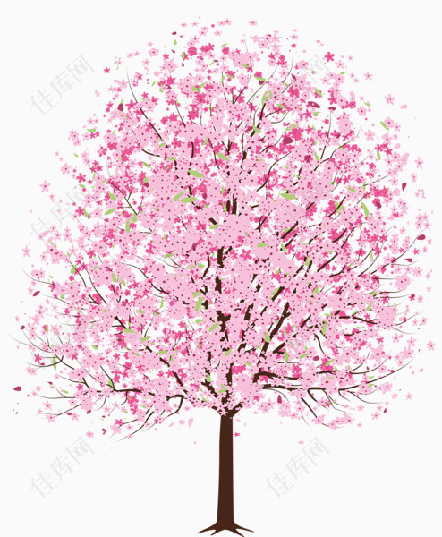 彩画樱花树