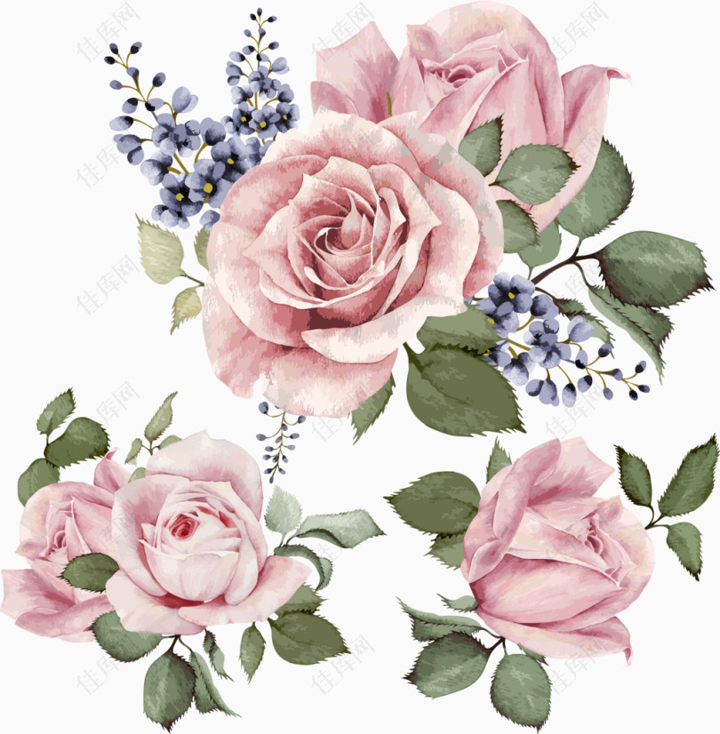 粉玫瑰花丛水彩装饰元素