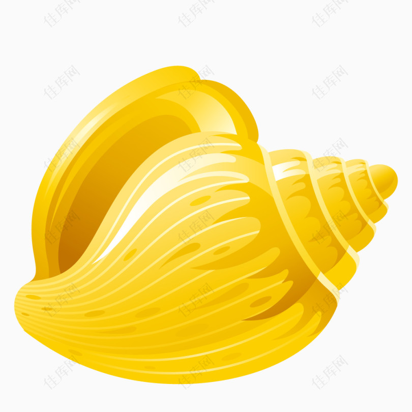黄色贝壳