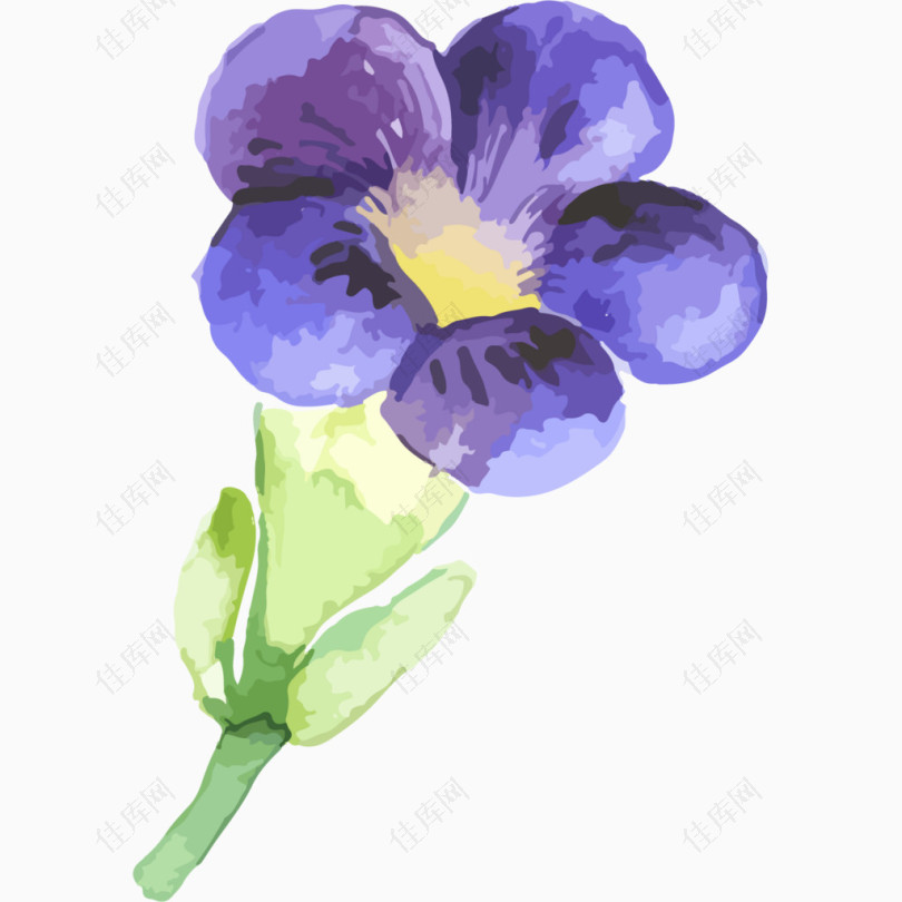 手绘水彩紫色花朵png