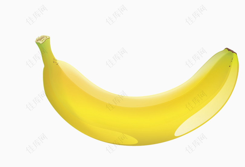 矢量黄色水果香蕉