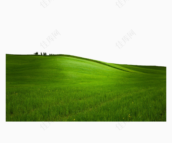 绿色草坪草原平原