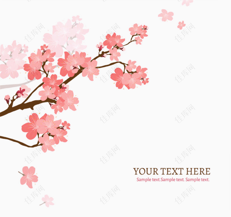 樱花树枝装饰素材