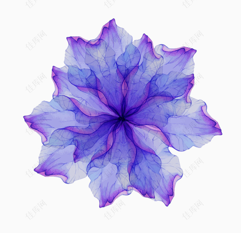 免费下载水彩蓝紫透明花免抠元素素材 佳库网