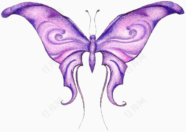 手绘紫色的蝴蝶素材