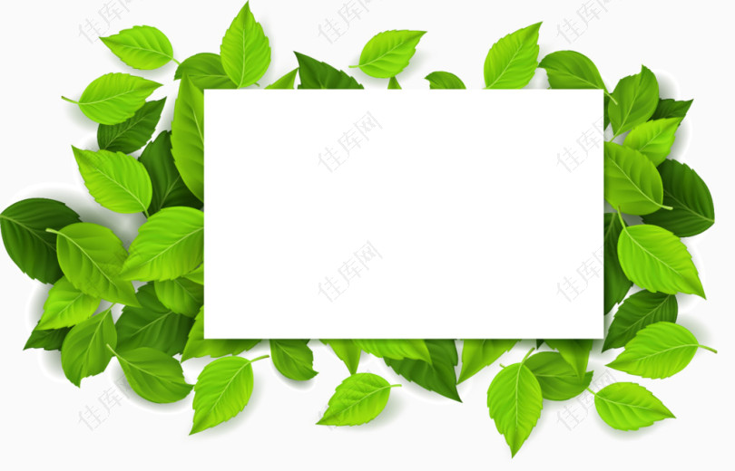 绿色树叶矢量文字输入框免费下载