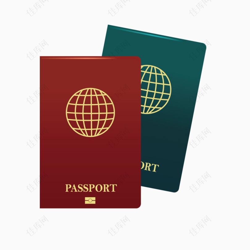 矢量护照通行证证件