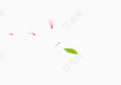 漂浮绿叶气泡玫瑰花瓣
