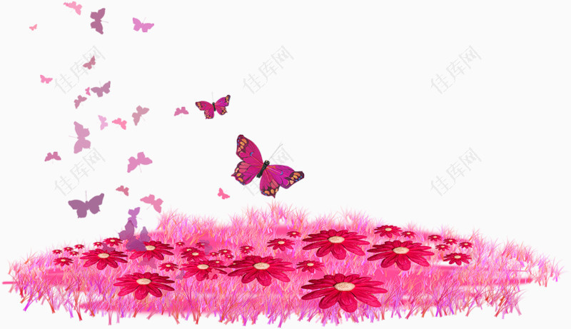 花蝴蝶飞在花丛上空