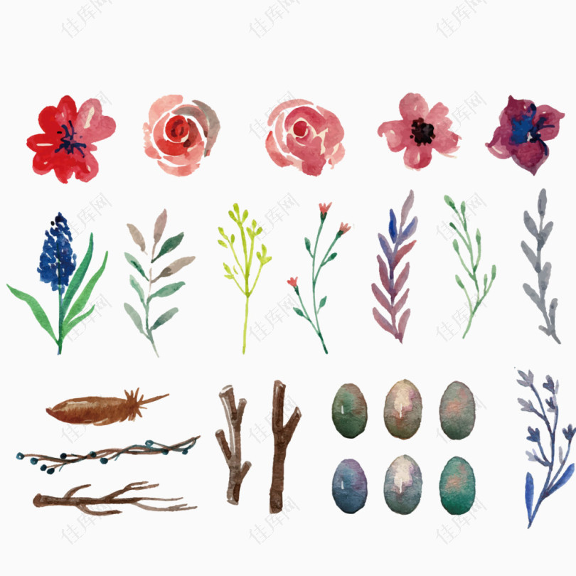 水彩绘植物和鸟蛋自然元素