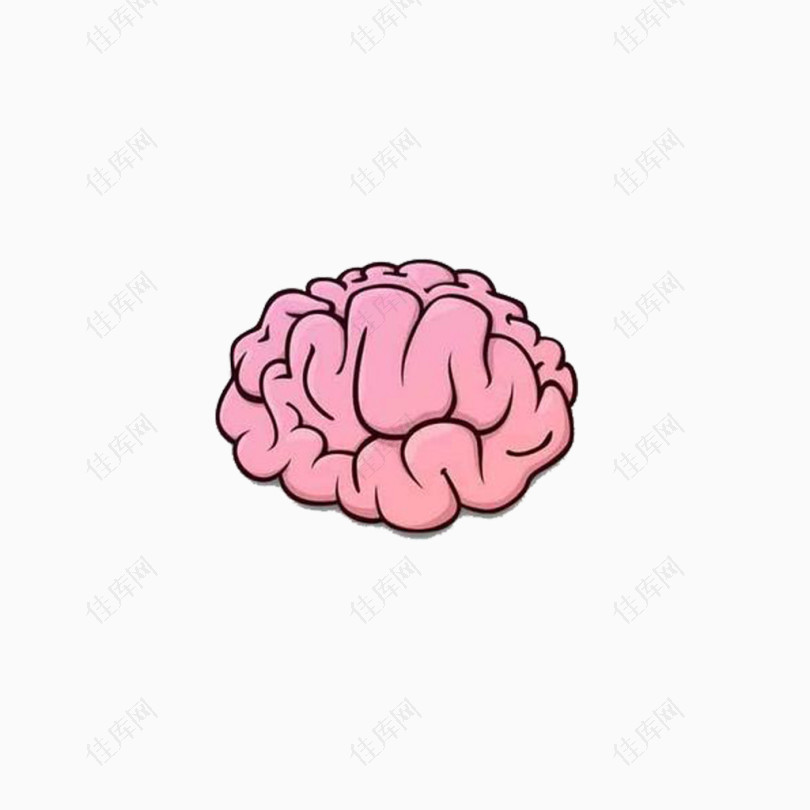 粉色大脑