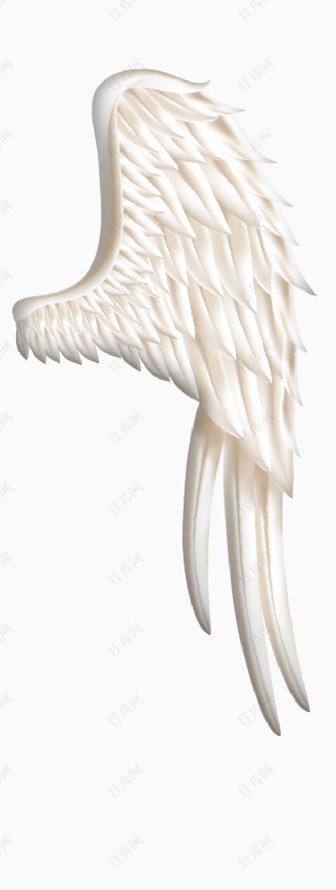 白色羽毛翅膀