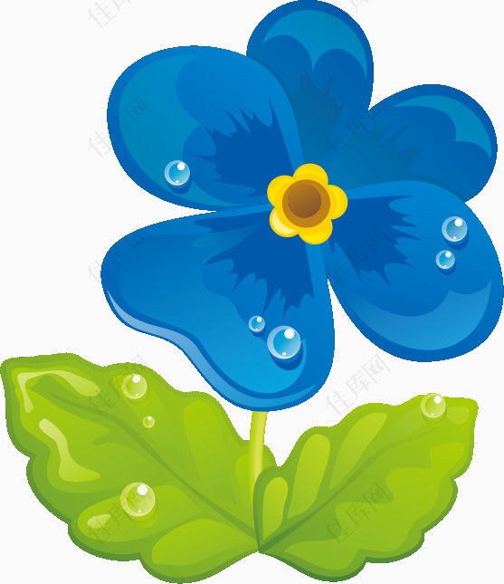 蓝色花朵气泡水珠