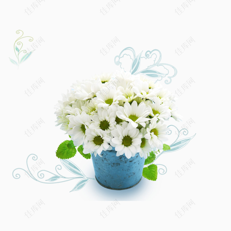 花瓶白色菊花法式花瓶