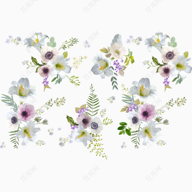 手绘白色紫色花朵图片