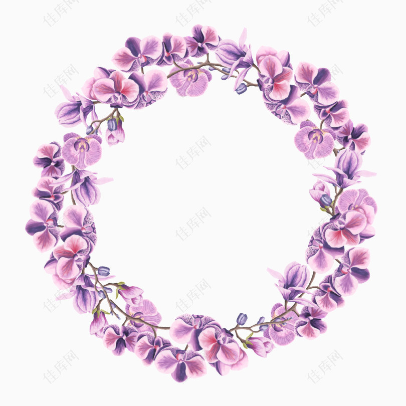 紫色蝴蝶兰花环