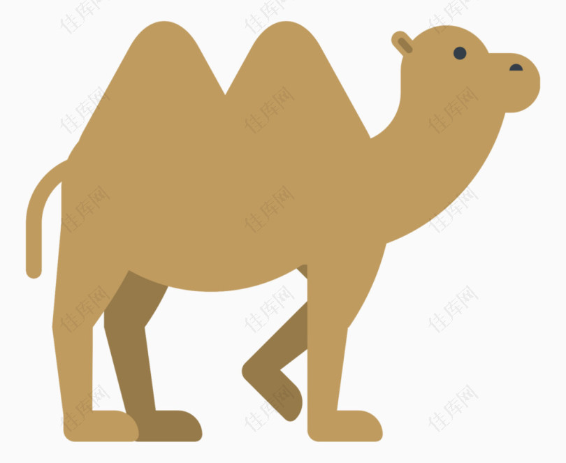 卡通动物骆驼