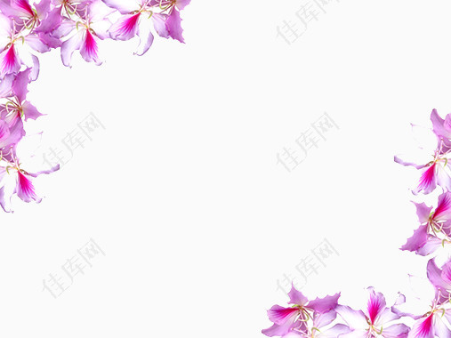 免费下载紫色花边背景免抠元素图片 元素素材 佳库网