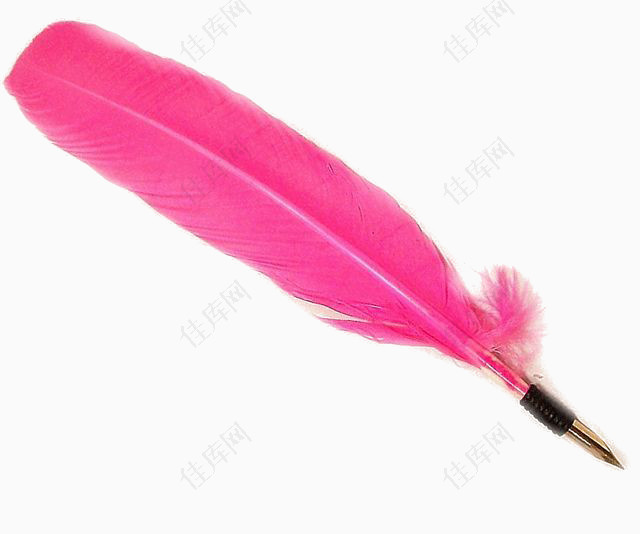 粉色羽毛笔