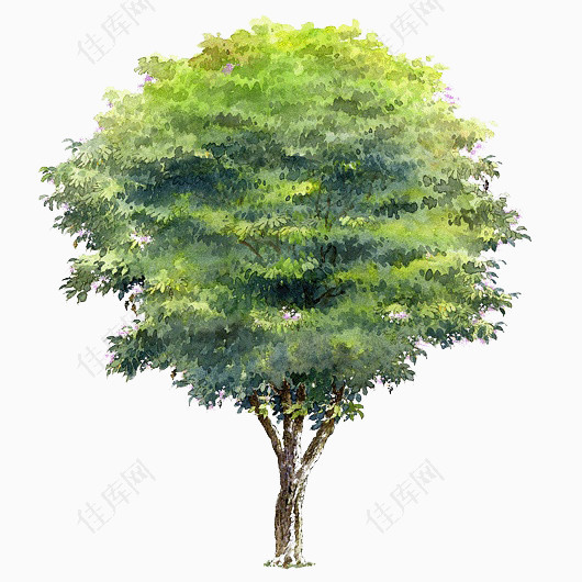 树木背景素材手绘树木图片
