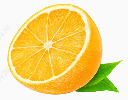 切开的橘子实物图