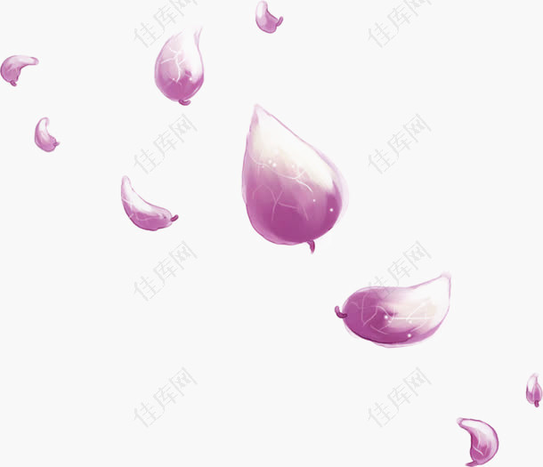 手绘紫色花瓣