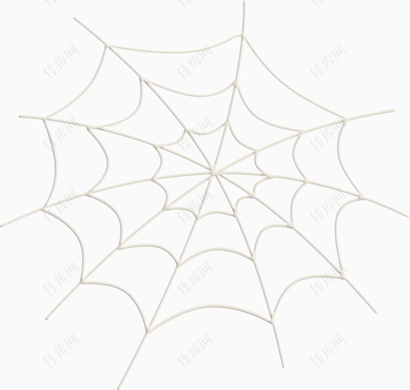 蜘蛛蜘蛛网矢量图