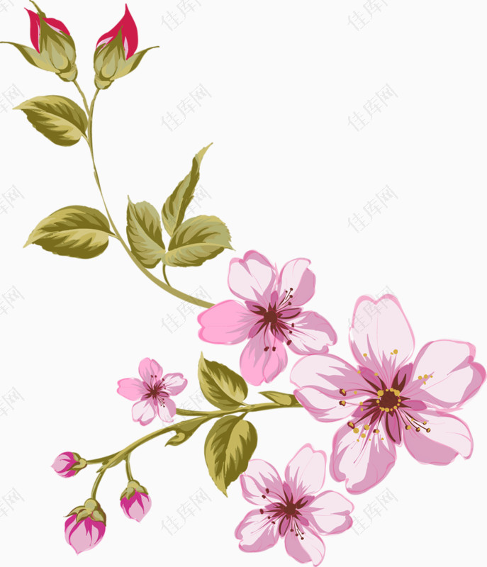 粉色蔷薇装饰