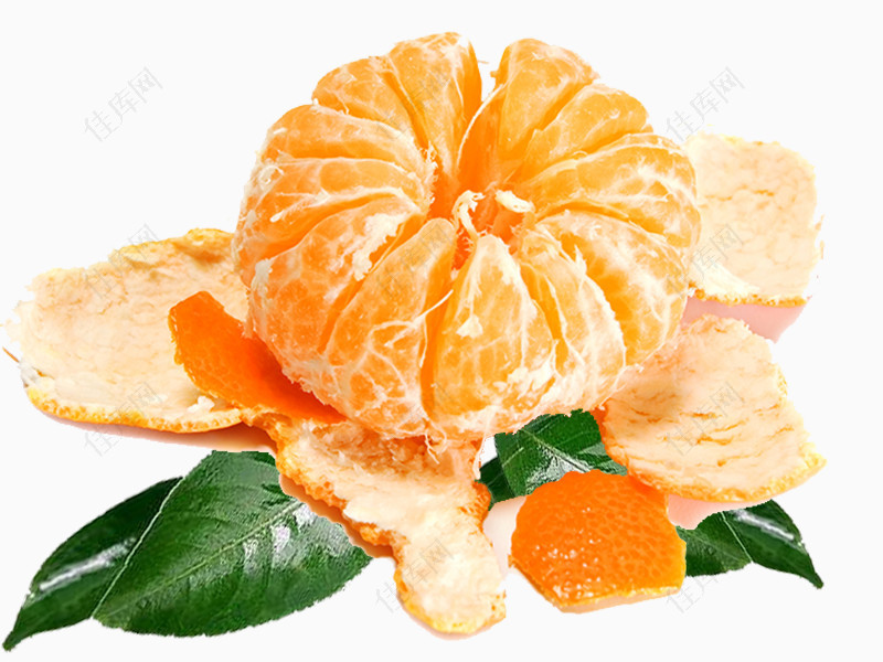 剥开的橘子完整图
