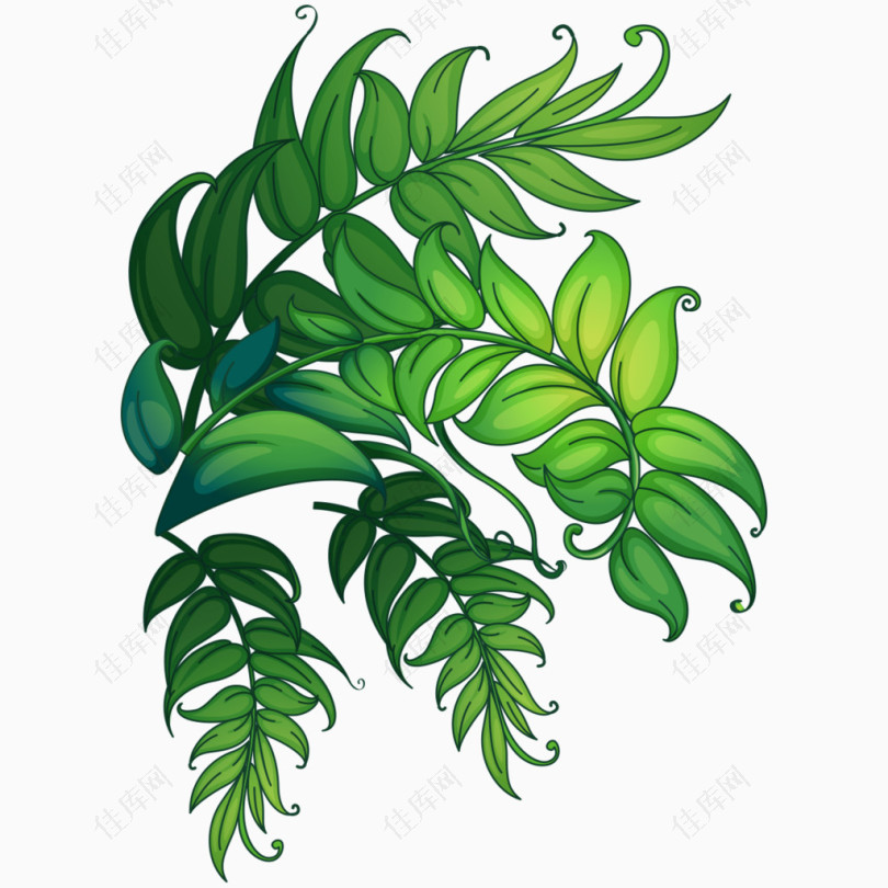 手绘热带植物素材