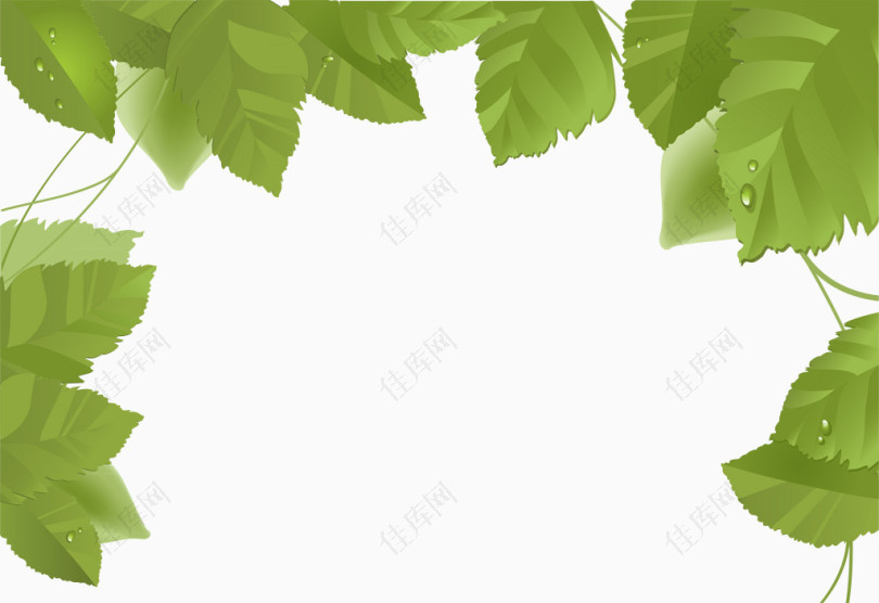 矢量装饰绿色树叶卡片背景