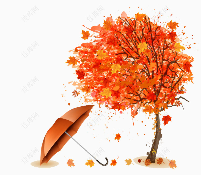 秋季树下的伞背景
