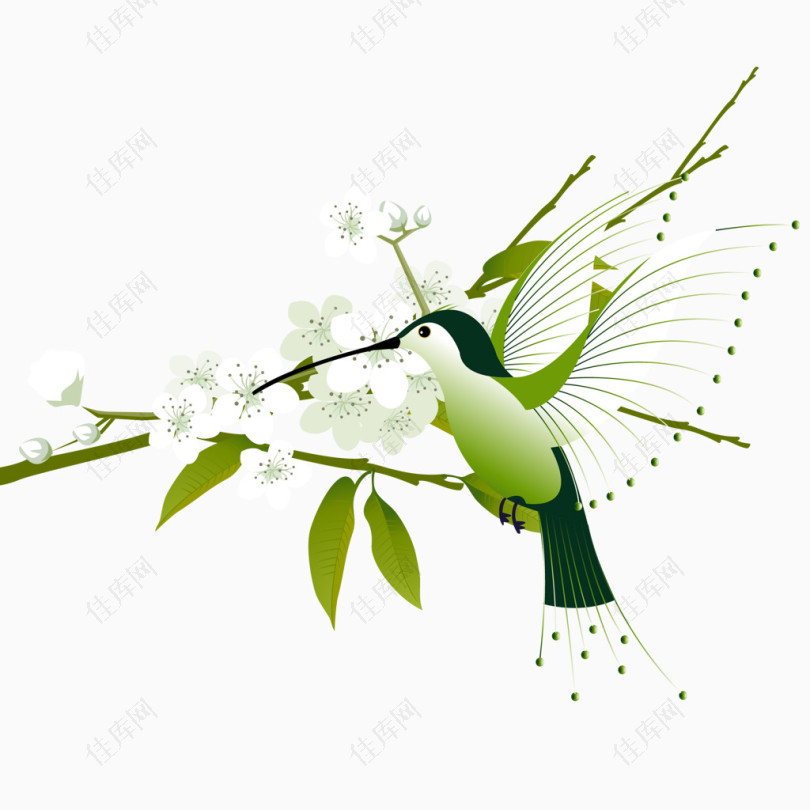 春季梨花与小鸟矢量素材