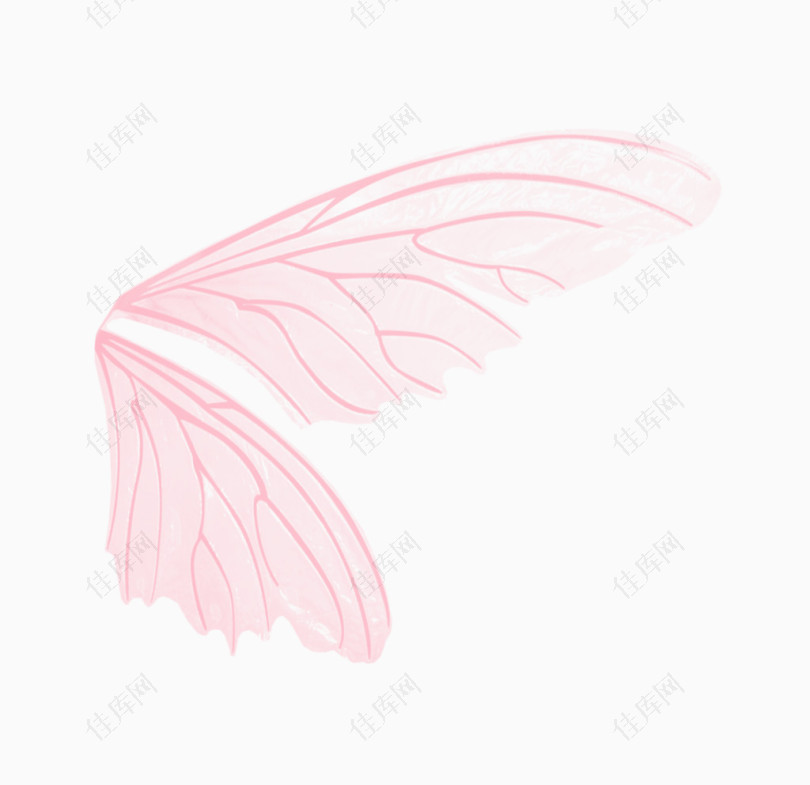 粉红翅膀