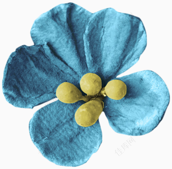 蓝色渲染花朵和黄色花蕊
