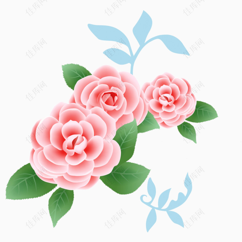 手绘漂亮的玫瑰花