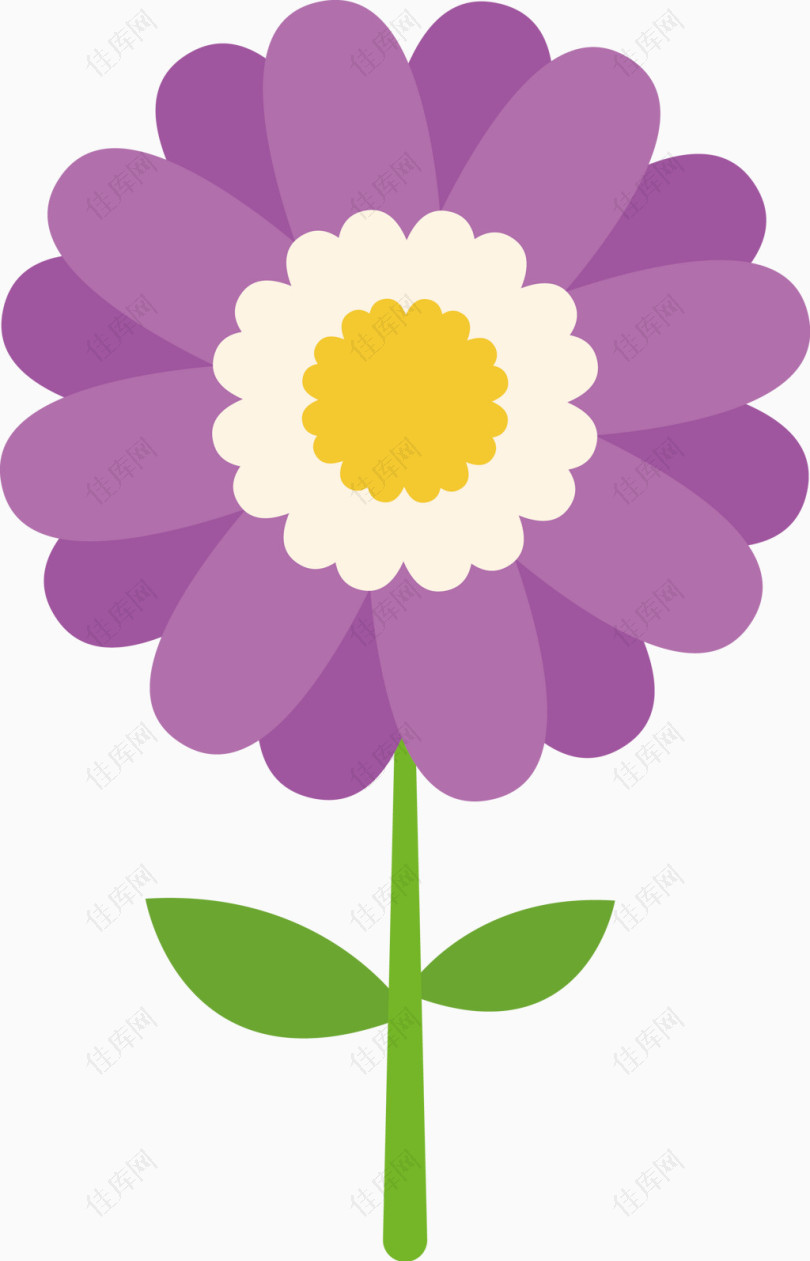 紫色花儿素材