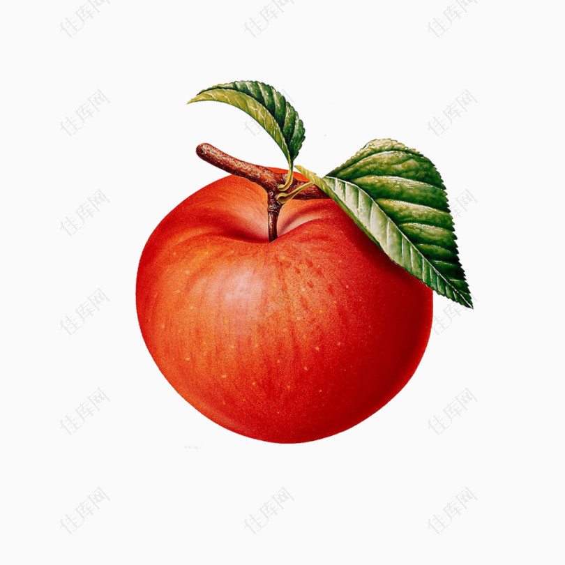 红苹果装饰图片