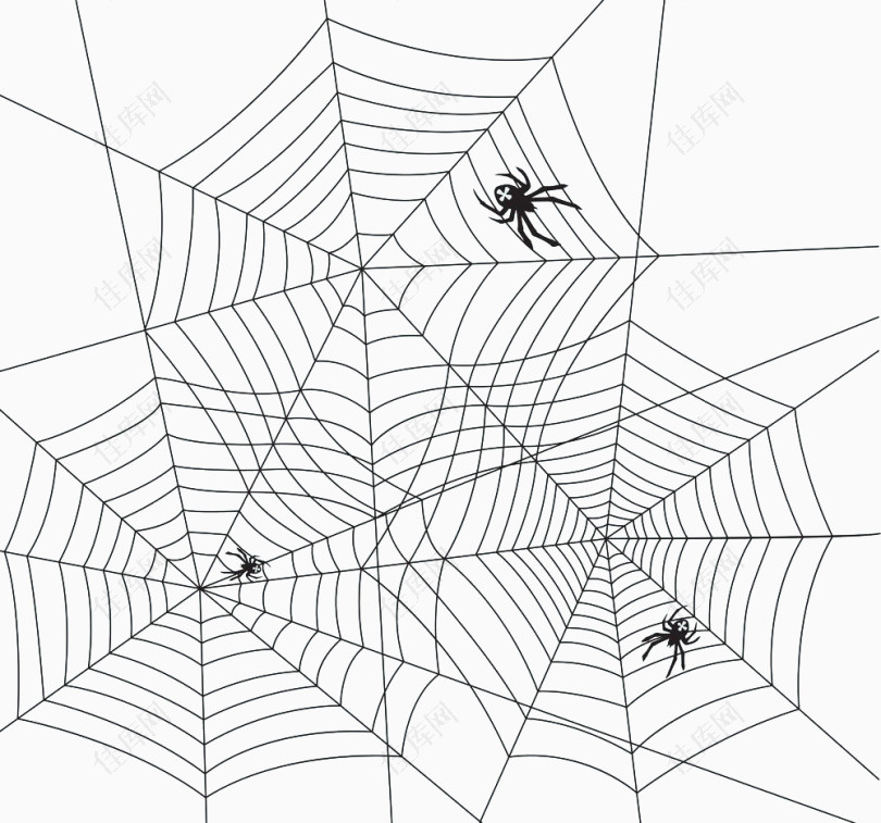 黑色手绘蜘蛛网