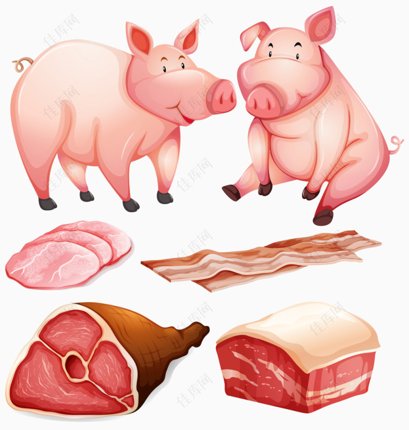 卡通猪和猪肉火腿