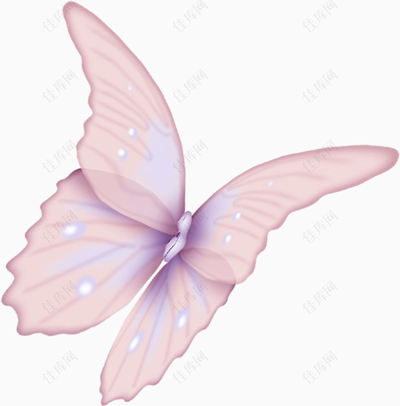 一只粉色蝴蝶