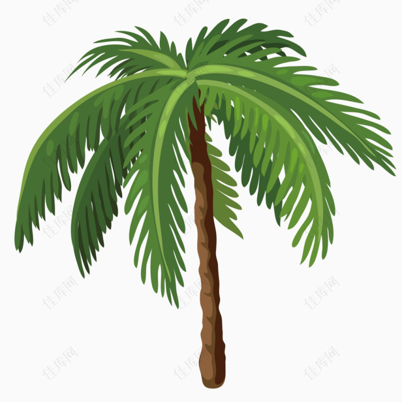 精美椰子树