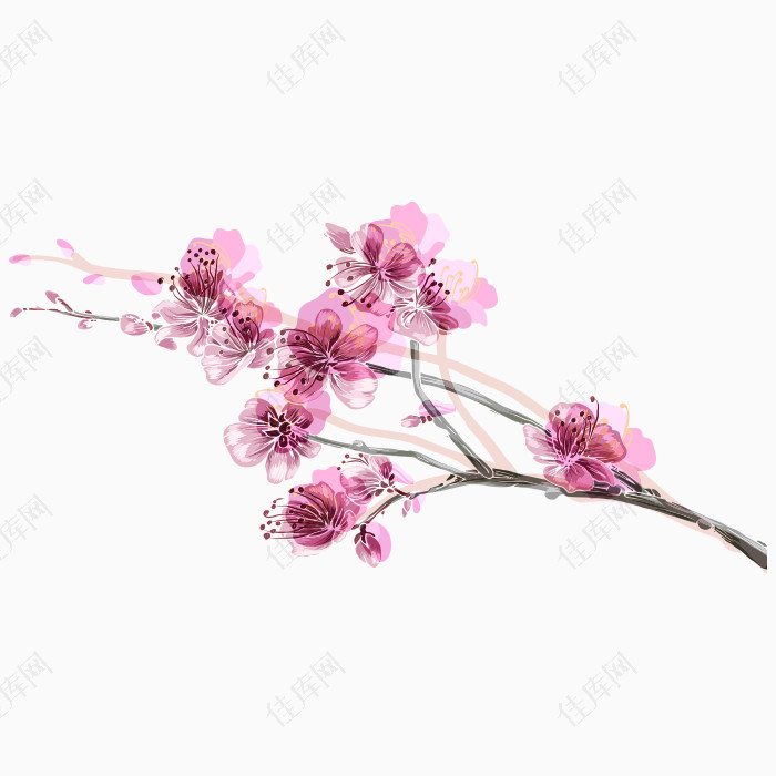 手绘春季粉色桃花素材