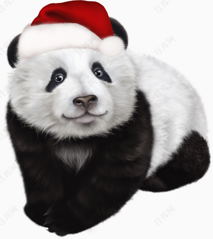 手绘圣诞帽的大熊猫