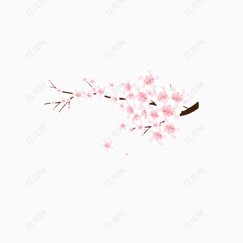 粉色桃花花卉素材