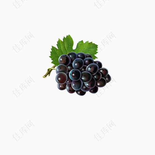 一串新鲜的黑色葡萄PNG素材