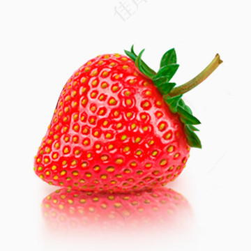 逼真的手绘草莓