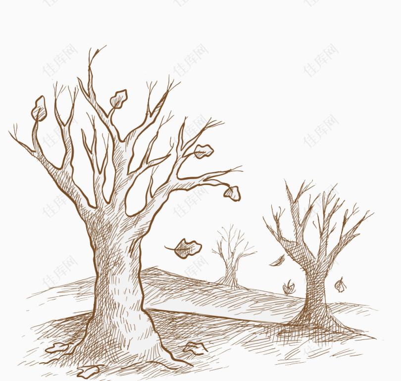手绘秋季凋零的树木